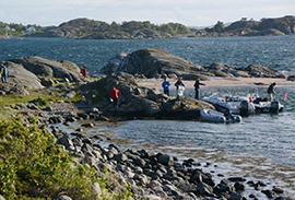 Holmerydding på Teistholmen